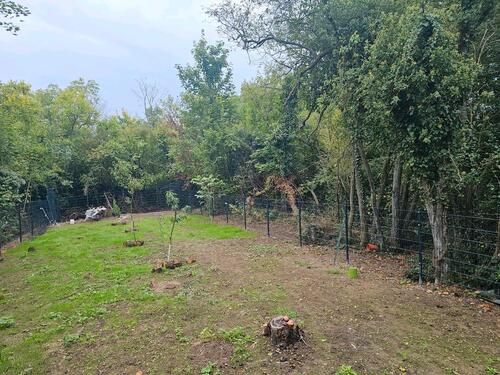 Foto - Grundstück in Linz am Rhein