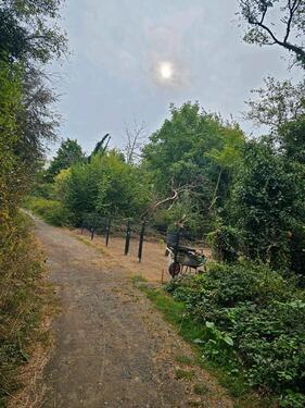 Foto - Grundstück in Linz am Rhein zur Miete