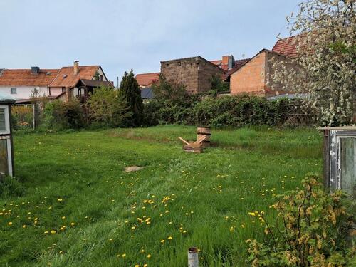 Foto - Bauernhaus, Landhaus in Heringen/Helme zum Kaufen