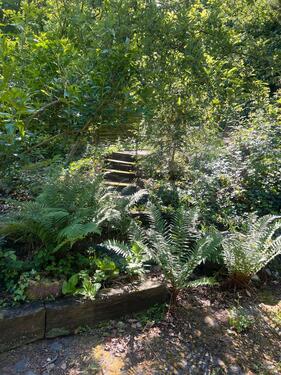 Foto - 4 Zimmer Einfamilienhaus in Köln