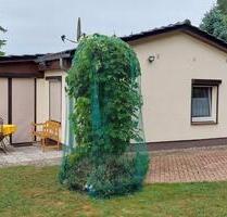 Ferienhaus am Arendsee (Altmark)