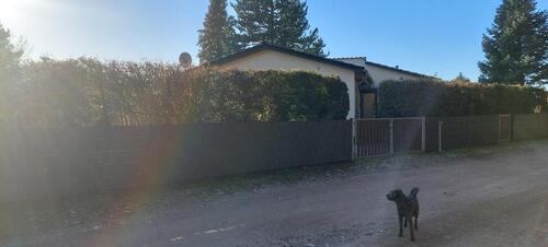 Foto - 3 Zimmer Einfamilienhaus zum Kaufen in Arendsee (Altmark)