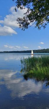 Foto - Einfamilienhaus in Arendsee (Altmark) zum Kaufen