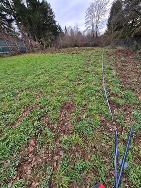 Foto - Landwirtschafts- Gartengrundstück direkt in Pirmasens zur Pacht!