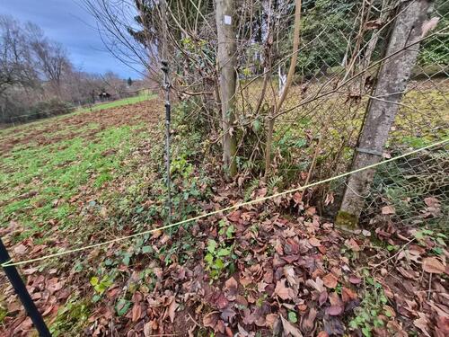 Foto - Grundst&uuml;ck in Pirmasens