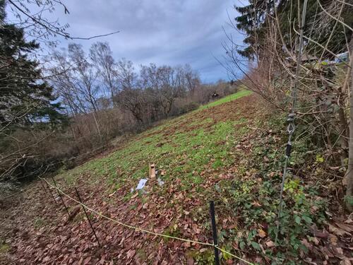Foto - Grundst&uuml;ck in Pirmasens zur Miete