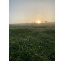 Landwirtschaftliche Fläche Wiese Ausgleichsfläche - Höhr-Grenzhausen