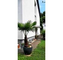 OHNE MAKLER - Top-gepflegtes Zweifamilienhaus in ruhiger Lage - Hofheim am Taunus