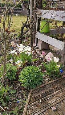 Foto - Grundst&uuml;ck in Naunhof zur Miete