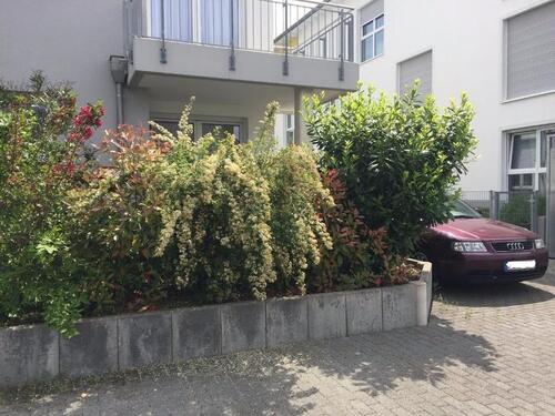 Foto - Erdgeschoßwohnung in Mainz zum Kaufen
