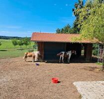 Offenstall, Freizeitgrundstück zu verpachten - Lautrach