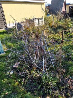 Foto - Garten zu verpachten - 300,00&nbsp;EUR Kaltmiete, ca.&nbsp; 0,00&nbsp;m&sup2;