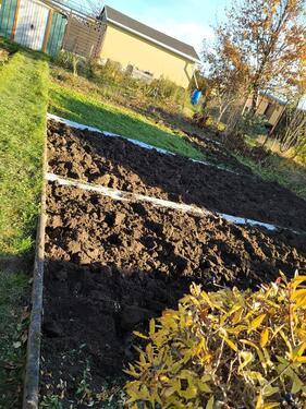 Foto - Grundst&uuml;ck zur Miete in Freiberg