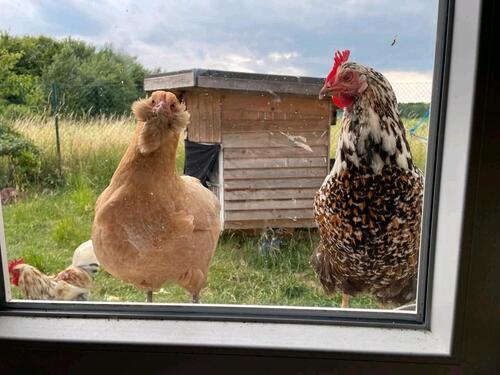 Foto - andere zur Miete in Werther (Westfahlen)