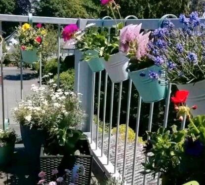 Foto - 2-Zimmer Wohnung + Garage&Balkon ab 01.02.26 am HBF