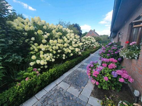 Foto - Ein oder Zweifamilienhaus - 460.000,00 EUR Kaufpreis,