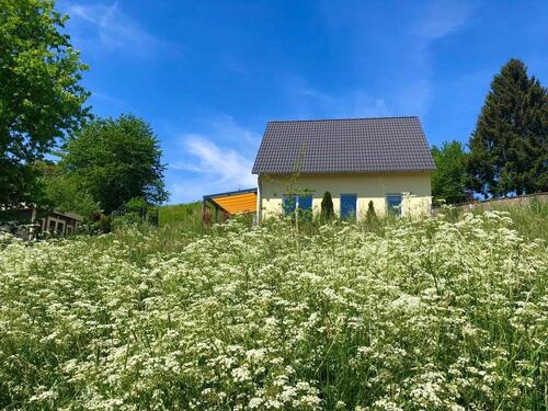 Foto - Modernes Einfamilienhaus in Modautal-Ernsthofen, BJ 2018