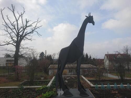 Foto - andere in Dresden