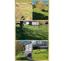 Freizeitgrundstück Garten zu vermieten ab Mai - Wuppertal Gemarkung Elberfeld