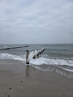 Foto - 5 Zimmer Einfamilienhaus in Graal-Müritz