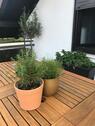 Foto - Große 2-Zimmer Wohnung mit Dachterrasse und Balkon