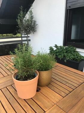 Foto - Große 2-Zimmer Wohnung mit Dachterrasse und Balkon