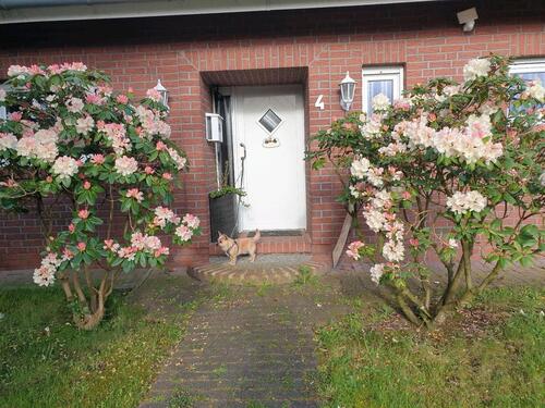 Foto - Einfamilienhaus in Ostrhauderfehn zur Miete