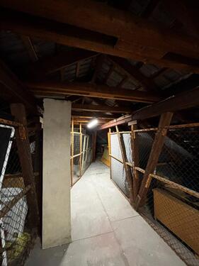 Foto - Dachgeschossrohling 65qm Wohnfläche 2min S-Bahn Krupunder