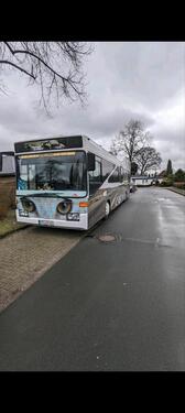 Foto - Gartenhütte, Bus, Wohnmobil, 12m, Bastlerfahrzeug