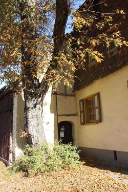 Foto - Handwerker Objekt Haus in Arnstein OT Sylda zu verkaufen