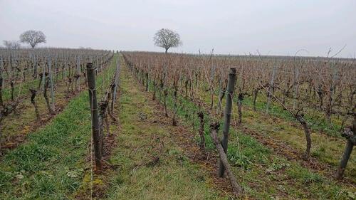 Foto - Singel Wohnung zu Vermietung EG +Einbauküche