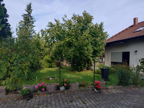 Foto - Einfamilienhaus zur Miete in Creglingen