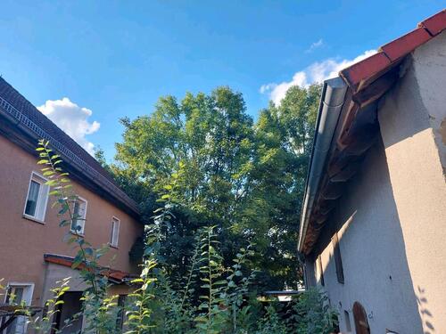 Foto - Einfamilienhaus in Pölzig zum Kaufen