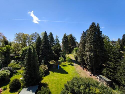 Foto - Einfamilienhaus in guter Lage auf 1765m Parkgrundstück mit Bach