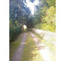 großes Grundstück mit kleinem Haus - Burgstädt