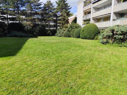 Foto - 3 Zimmer Hochparterre in Düsseldorf