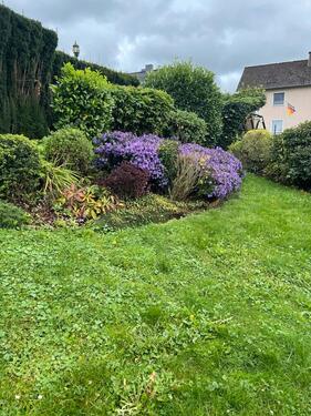 Foto - 3-Zimmer-Wohnung direkt in Aerzen mit alleiniger Gartennutzung