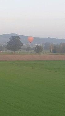 Foto - Stadl Stall frei für Pferde Ponyhaltung zu verpachten bei Pähl