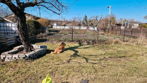 Foto - Grundst&uuml;ck in Halle (Saale)