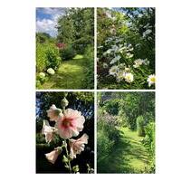 Schrebergarten Adelbylund Flensburg pachten - Tastrup