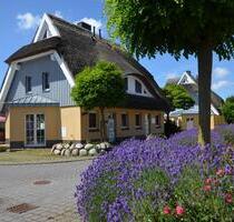 Ferienhaus-Wohnung in Zingst 6 P.3 SZ Fahrräder am HausKamin