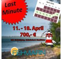 Ferienhaus Fehmarn Garten Ostsee Strand Urlaub Ferienwohnung Hund