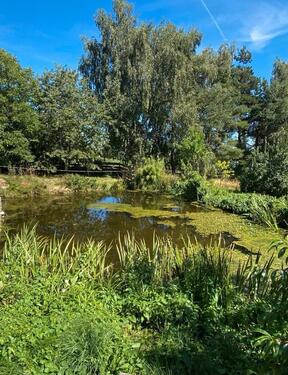 Foto - Anwesen mit Potenzial - 299.000,00&nbsp;EUR Kaufpreis, ca.&nbsp; 500,00&nbsp;m&sup2;