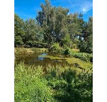 Anwesen mit Potenzial - 299.000,00&nbsp;EUR Kaufpreis, ca.&nbsp; 500,00&nbsp;m&sup2; in Konradsreuth (PLZ: 95176)