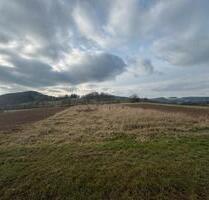 Grünland in Modautal zu verkaufen - Ober-Ramstadt