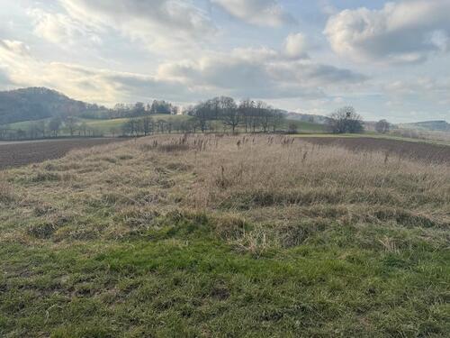 Foto - Grundst&uuml;ck zum Kaufen in Ober-Ramstadt