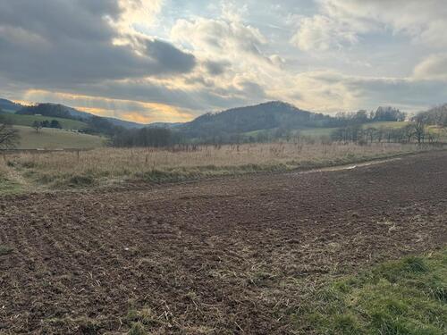 Foto - Grundst&uuml;ck in Ober-Ramstadt