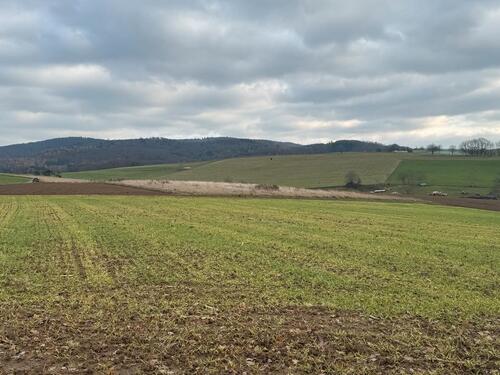 Foto - Grundst&uuml;ck in Ober-Ramstadt zum Kaufen