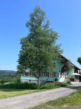 Foto - Teilmöblierte Wohnung zu vermieten