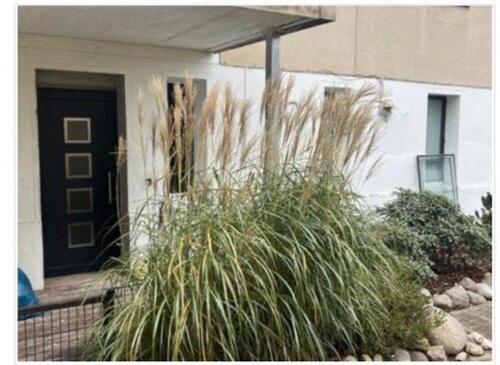 Foto - 2-Zimmer-EG-Wohnung mit Terrasse & neuem Wintergarten